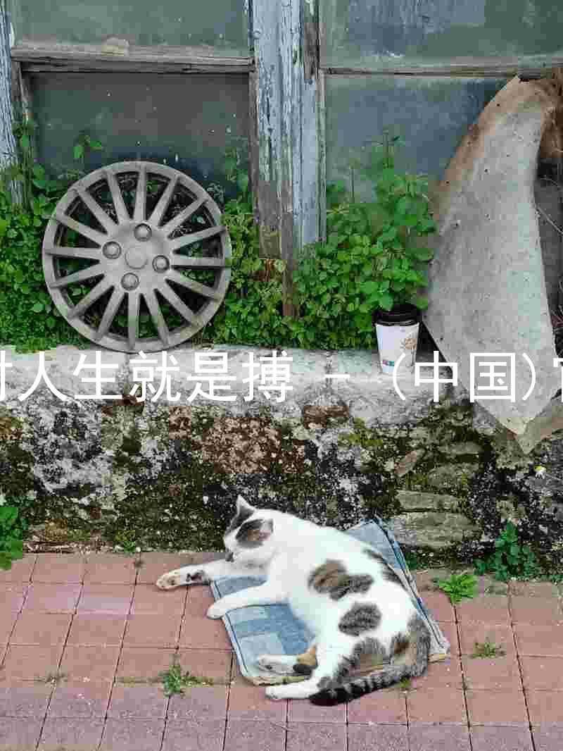 尊龙凯时人生就是搏 - (中国)官方网站