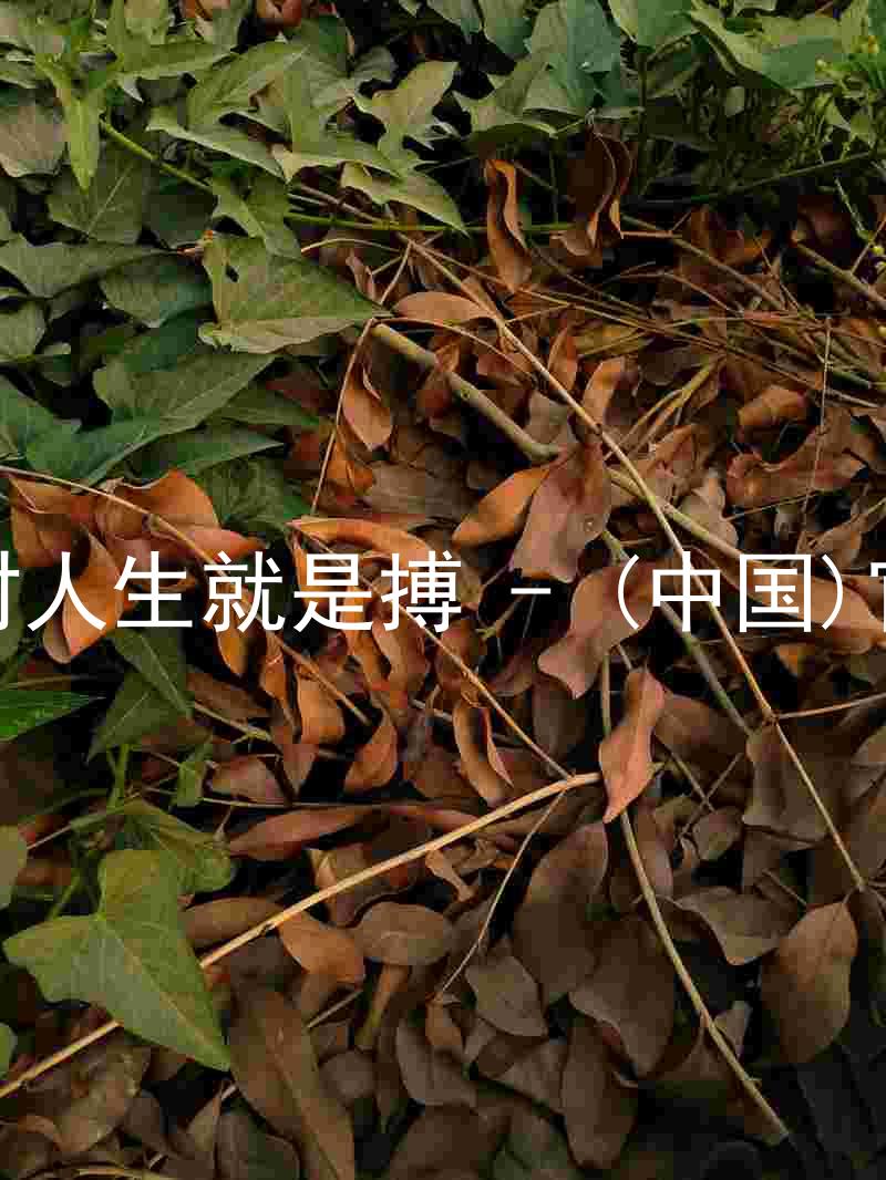 尊龙凯时人生就是搏 - (中国)官方网站