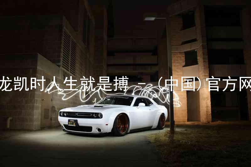 尊龙凯时人生就是搏 - (中国)官方网站